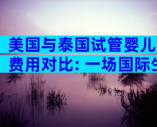 美国与泰国试管婴儿费用对比: 一场国际生育成本比较